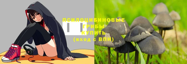 сатива Абдулино