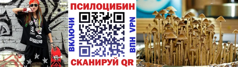 блэк спрут рабочий сайт  Балахна  Галлюциногенные грибы ЛСД 