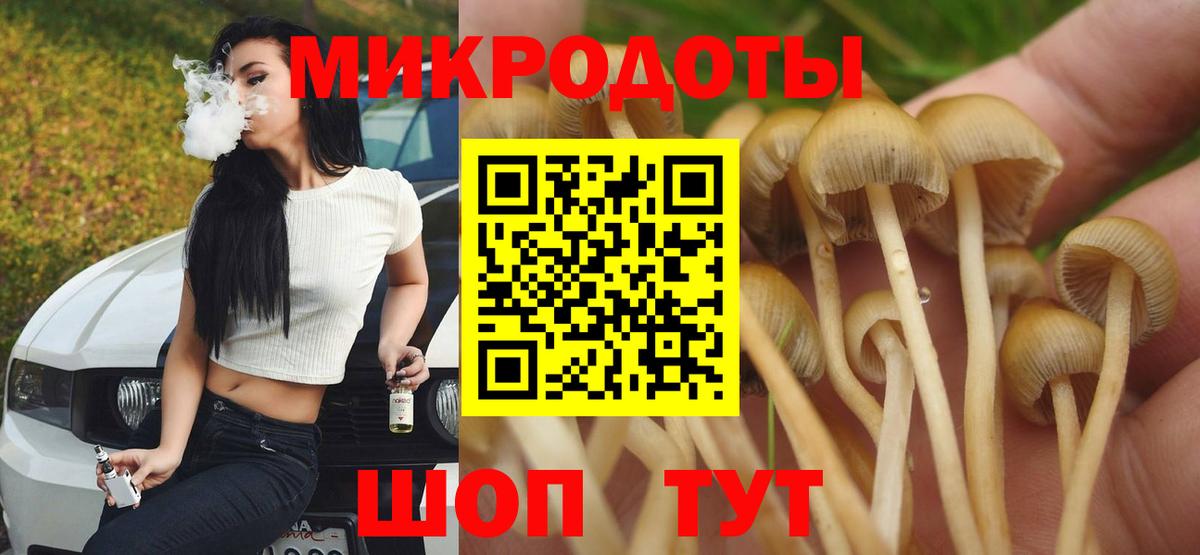 Галлюциногенные грибы мицелий  Галлюциногенные грибы Psilocybine cubensis  купить   Вход с VPN  Балахна 