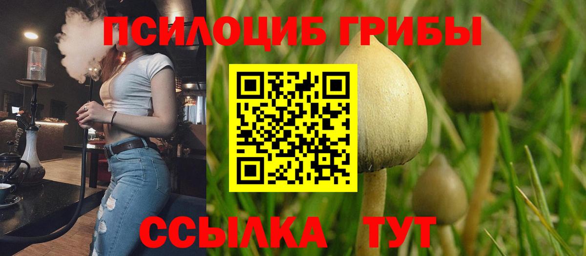 Псилоцибиновые грибы Magic Shrooms Балахна